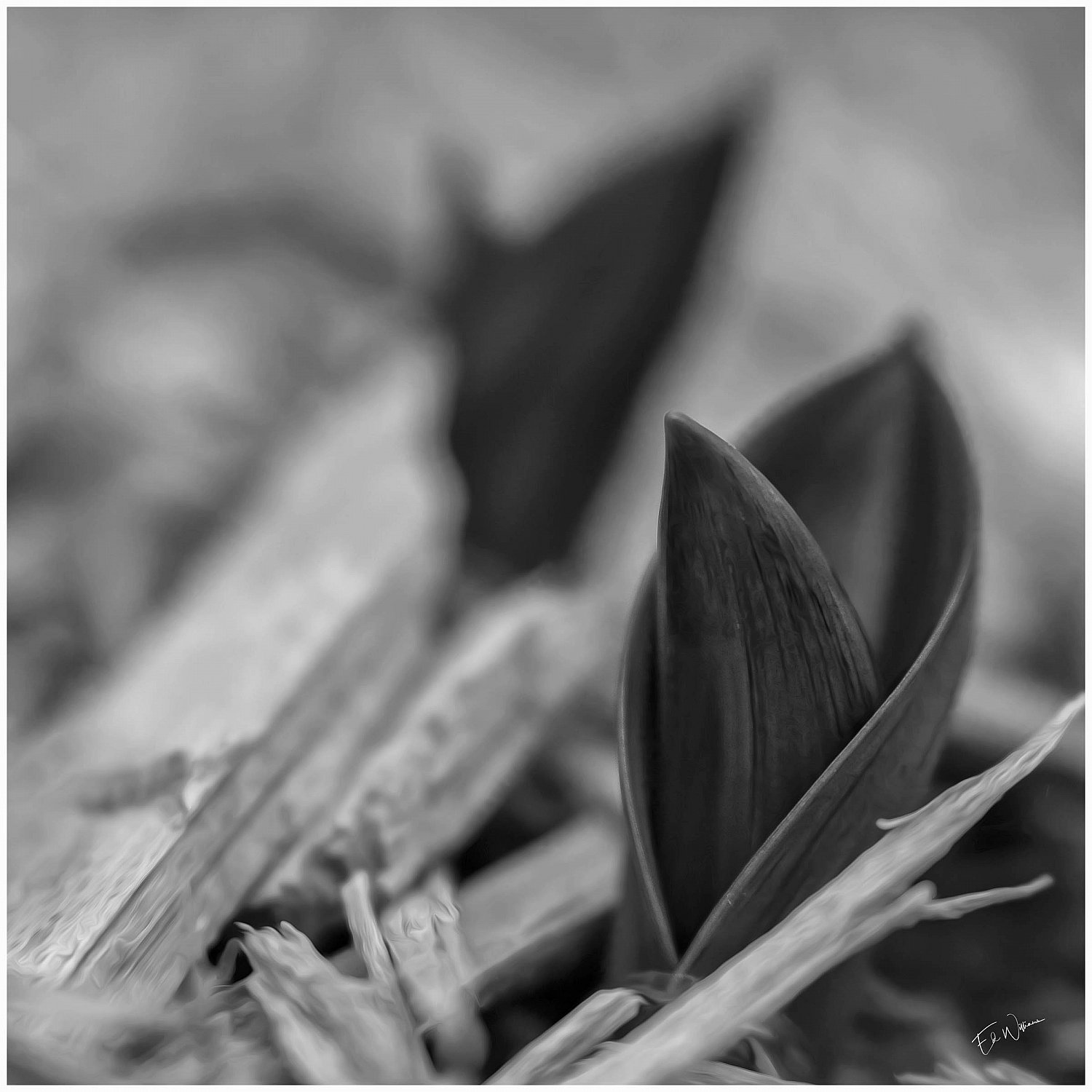 What Remains