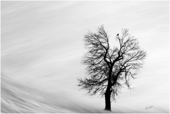 Unmoved