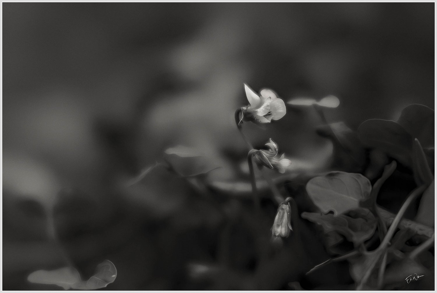 Along The Way