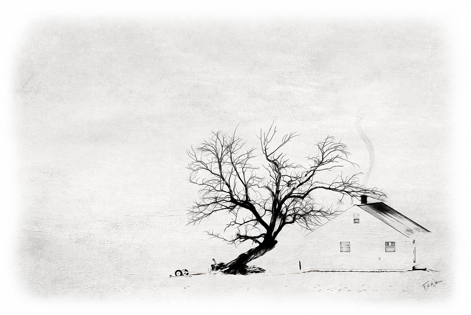 The Neighbor