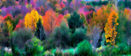 Autumn, Reimagined