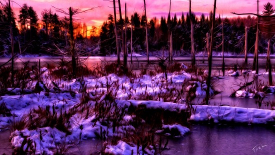 Where the Light Lands