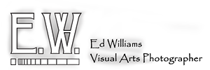 Ed Williams — Home