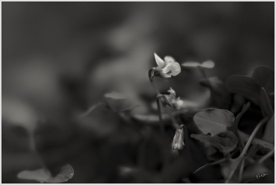 Along The Way